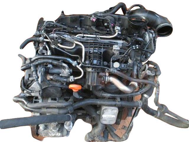 Motor CAYE Volkswagen CADDY III (2K,2C) 1.6 TDI (75cv)