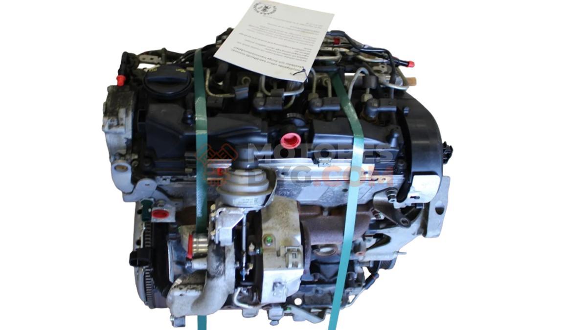 Motor CAYE Volkswagen CADDY III (2K,2C) 1.6 TDI (75cv)