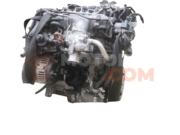 Motor CBAB Audi A3 (8P) Versión 2008 2.0 TDI (140 cv) DPF
