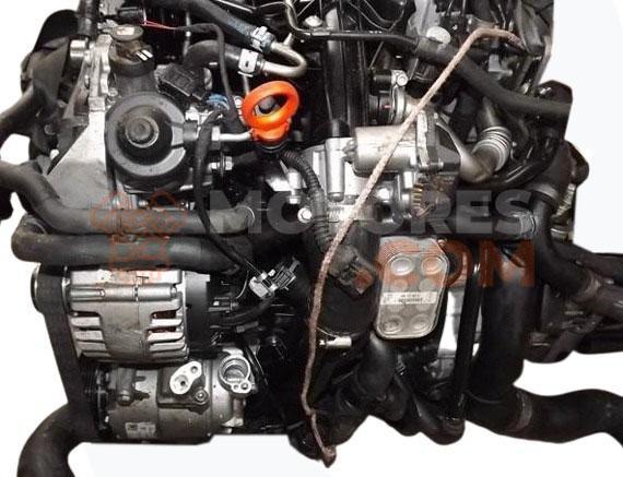 Motor CBBB, CFGB Audi A3 (8P) Versión 2008 2.0 TDI (170 cv) quattro DPF