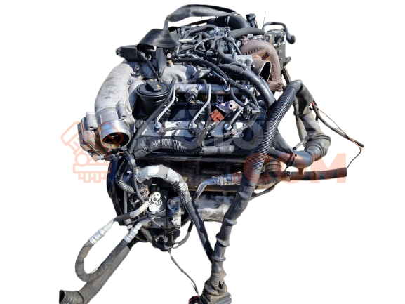 Motor CCLA Audi Q5 I 3.0 TDI V6 (240 cv) quattro S tronic