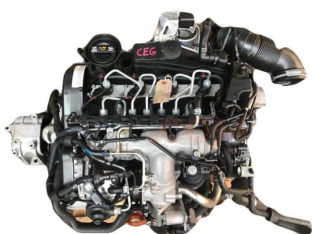 Motor CEGA Seat Leon II (1P) FR 2.0 TDI (170 cv) DPF