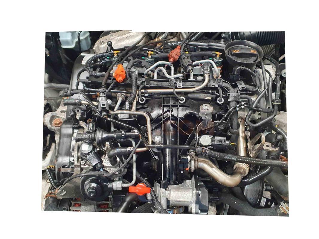 Motor cff Audi A3 Cabrio (8V) Versión 2016 2.0 TDI (150 cv)