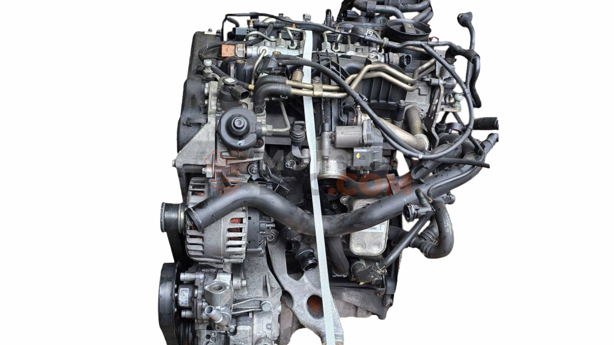 Motor CGLB Audi Q5 (8RB) 2008 2.0 TDI quattro (177 cv)