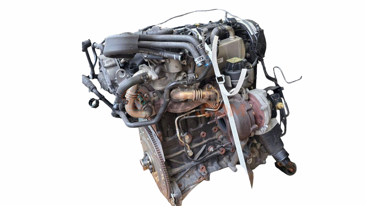 Motor CGLB Audi Q5 (8RB) 2008 2.0 TDI quattro (177 cv)