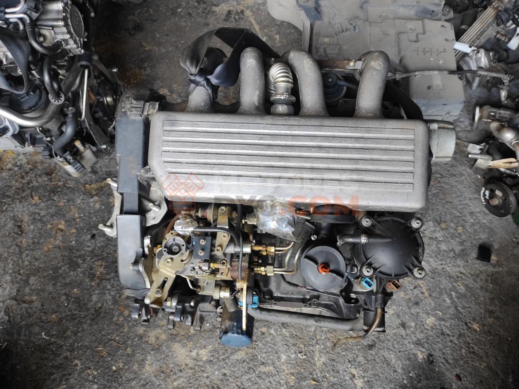 Motor DJY Citroen Xsara (N1) 1.9 D (70 cv)