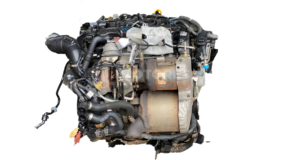 Motor CLH Audi A3 (8V) 1.6 TDI (105 cv) S tronic