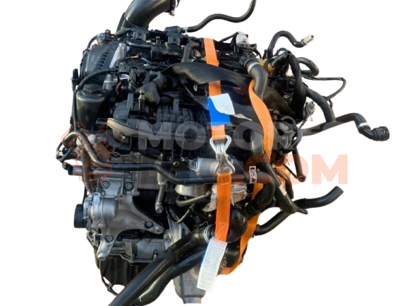 Motor CNCC Audi Q5 (8RB) 2008 2.0 TFSI quattro (211 cv)
