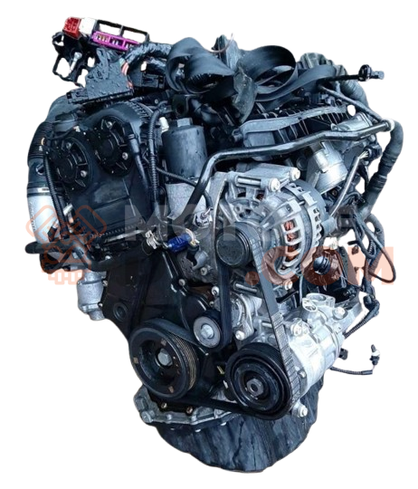 Motor CNCD Audi Q5 (8RB) 2008 2.0 TFSI quattro (224 cv)