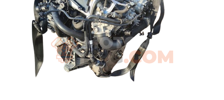 Motor cnha Audi Q5 (8RB) 2008 2.0 TDI (190 cv)