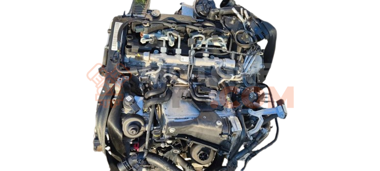Motor cnha Audi Q5 (8RB) 2008 2.0 TDI (190 cv)