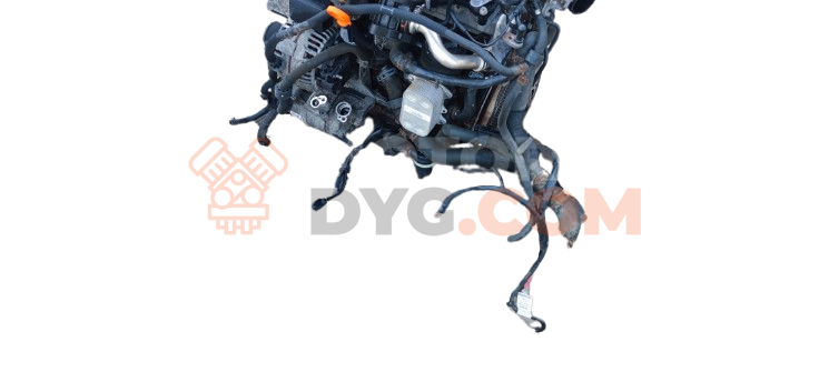 Motor CZC Seat Leon II (1P) 1.2 TSI (105 cv)
