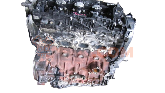 Motor D 4204 T Ford Kuga I 2.0 TDCi (136 cv)