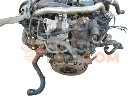 Motor d 4204 t Ford Kuga I 2.0 TDCi (136 cv)