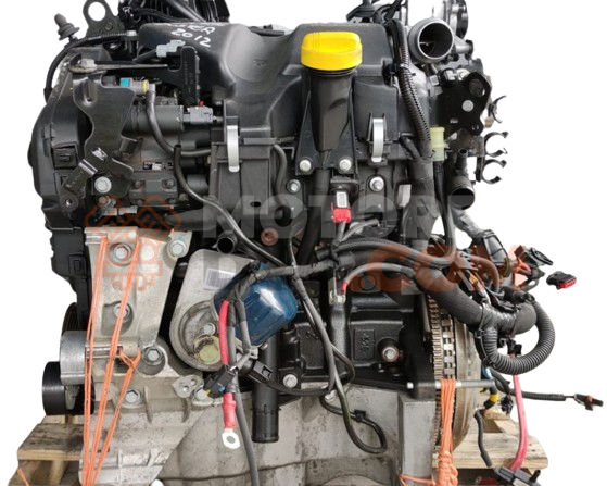 Motor D4204T Ford Focus Descapotable II 1.6 Duratec 16V (100 cv)
