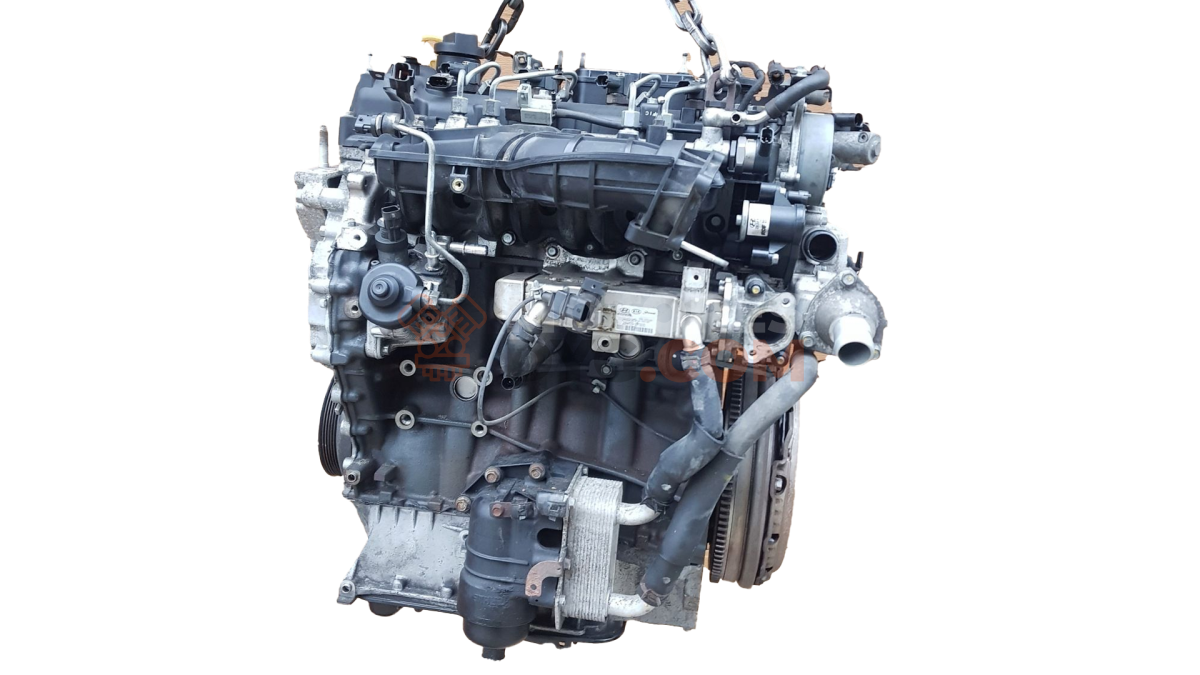 Motor d4ha Kia Sportage III 2.0 CRDI 16V (136 cv)