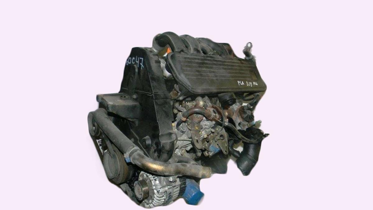 Motor D9B XUD9A/U Citroen JUMPY (U6U) 1.9 D (69 cv)