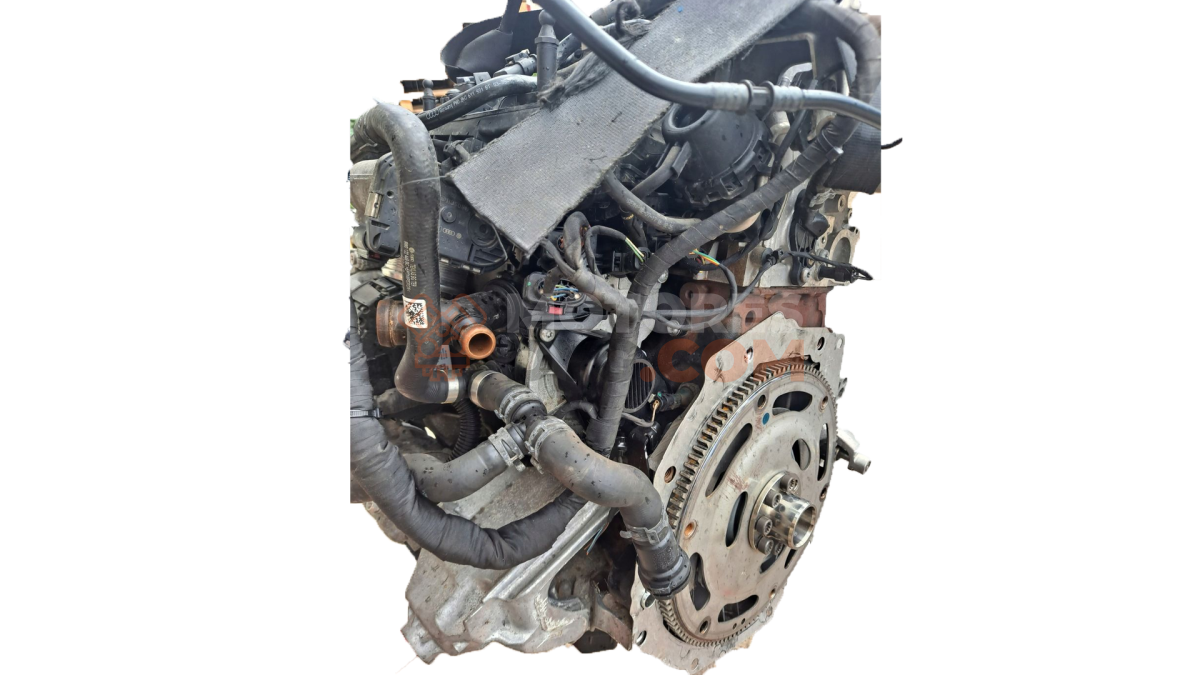 Motor ddta Audi A4 Avant (B9 8W) 2.0 TFSI (252 cv) quattro S tronic