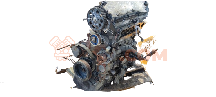 Motor DETA Audi A4 (B9 8W) 2.0 TDI ultra (190 cv)