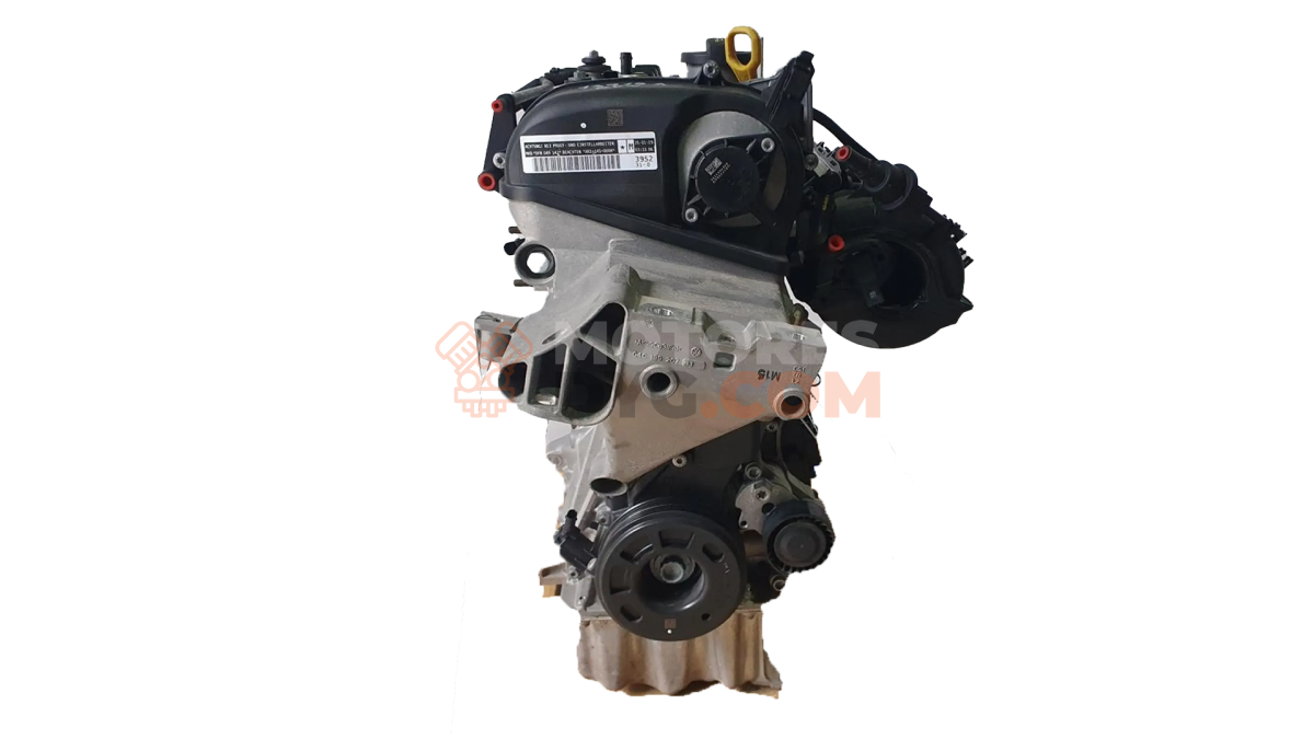 Motor DFN Seat Ibiza V 1.6 TDI (95cv)