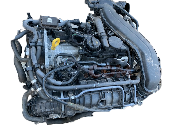 Motor dpb Volkswagen Golf V Plus 1.4 TSI (170cv)