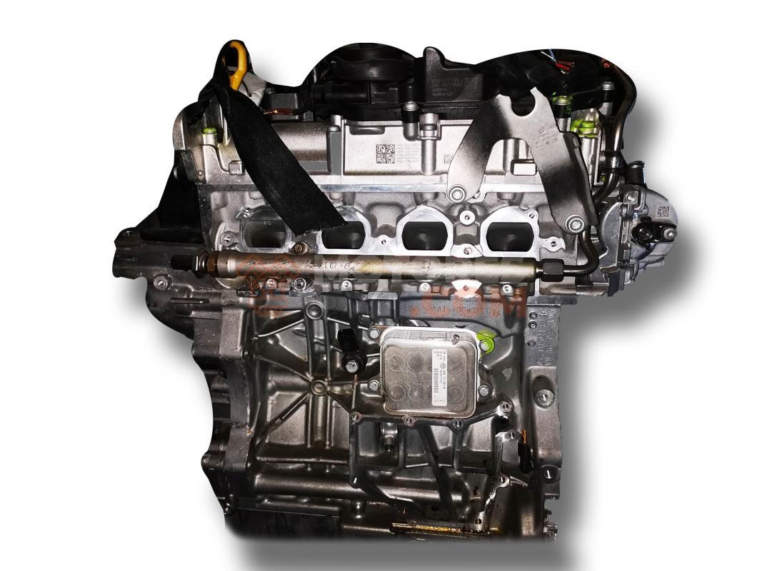 Motor dpba Seat Leon I (1M) 1.9 TDI (130 cv)