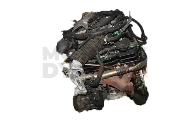 Motor E51VQ35DE Nissan Elgrand (E51) 3.4 i V6 24V 4WD (240 cv)