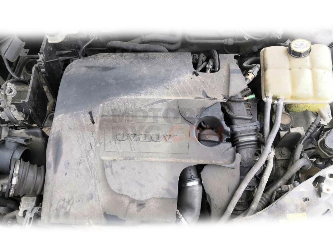 Motor EDDF Ford Focus Hatchback (USA) 2.0 i 16V ZX3 (131 cv)