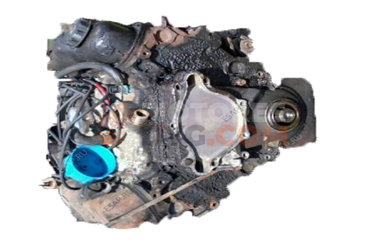 Motor EKG Dodge Dakota II 5.9 V8 (250 cv)