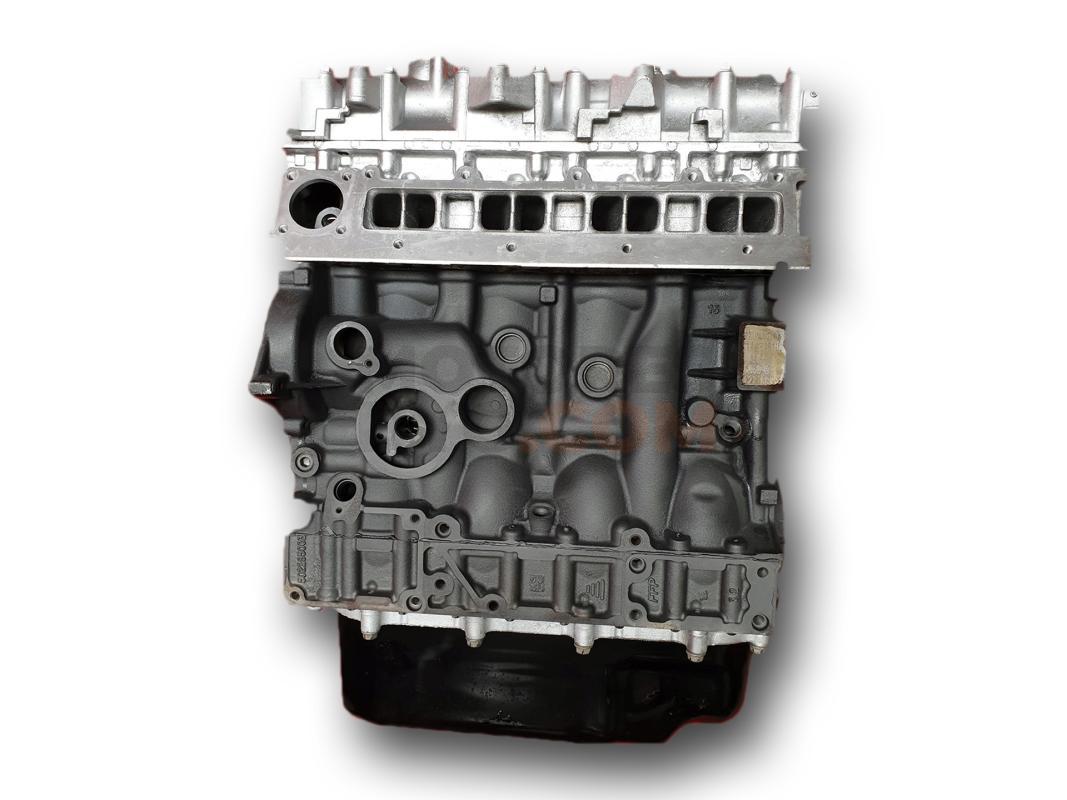 Motor F1AE0481D Fiat Ducato Caja/Chasis (250_, 290_) 120 Multijet 2.3 D 4X4 (120 cv)