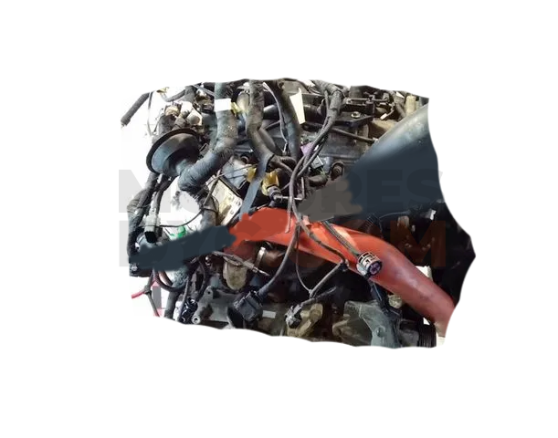 Motor F1AE3481B Iveco Daily V Caja/Chasis 35C17, 35C17D, 35S17, 40C17, 45C17, 50C17, 60C17, 70C17 (170 cv)