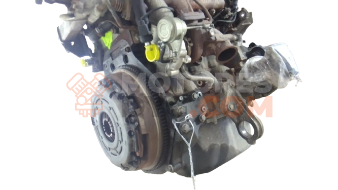 Motor F1AE3481D Fiat Ducato Caja/Chasis (250_, 290_) 130 Multijet 2.3 D (131 cv)