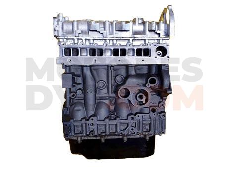 Motor F1AE3481E Fiat Ducato Autobús (250_, 290_) 120 Multijet 2.3 D (120 cv)