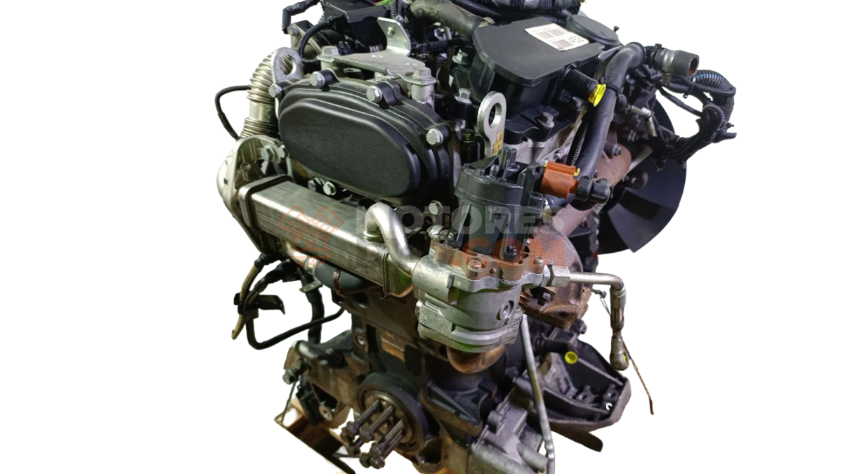Motor f1afl411c Iveco Daily IV Caja/Chasis 35C15 (146 cv)
