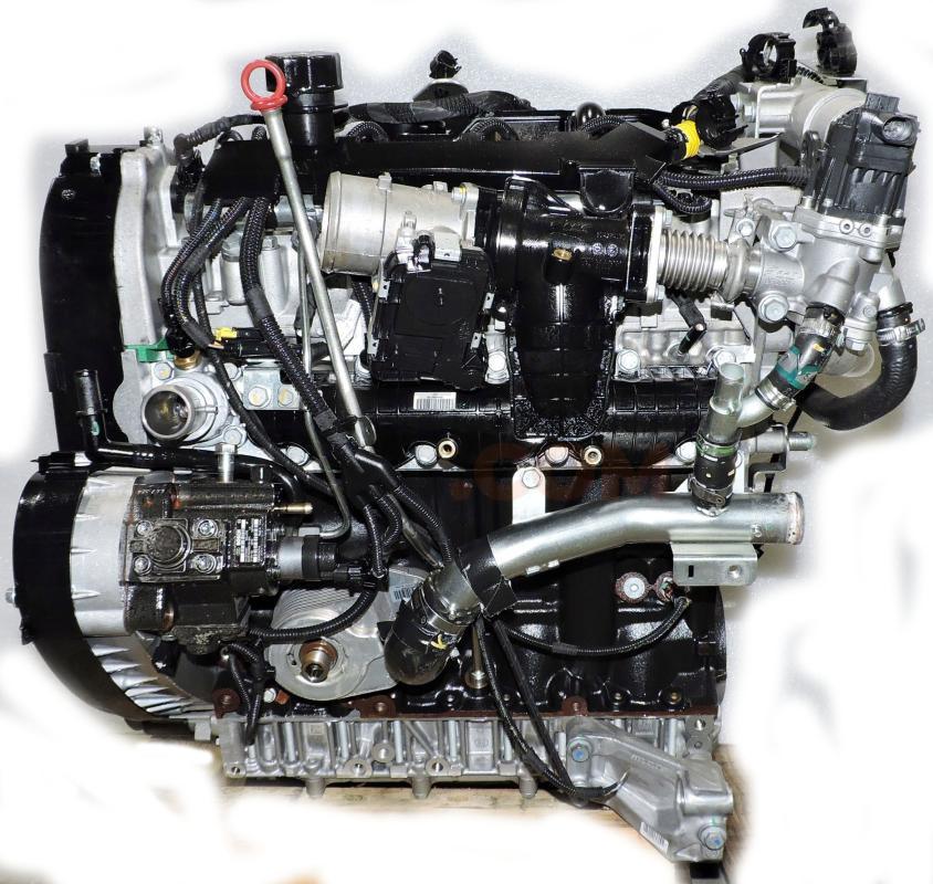 Motor F1AGL411G Iveco Daily VI Caja/Chasis 33-160, 35-160 (156 cv)