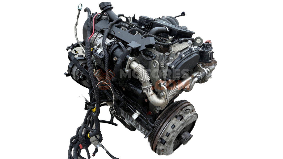 Motor F1AGL411J Iveco Daily VI Caja/Chasis 35S15, 35C15, 40C15, 50C15, 65C15, 70C15 (146 cv)