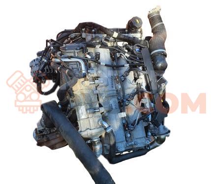 Motor F1CFL411H, F1CFL411F Iveco Daily VI Furgón/ranchera familiar 35S17, 35C17, 40C17, 50C17, 55C17, 65C17, 70C17 (170 CV)