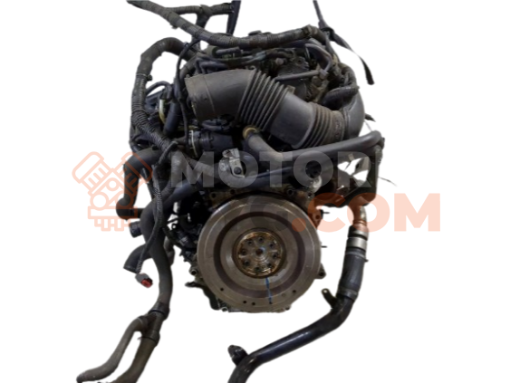 Motor F48 Bmw X1 (F48) 25i (231 cv) xDrive Steptronic