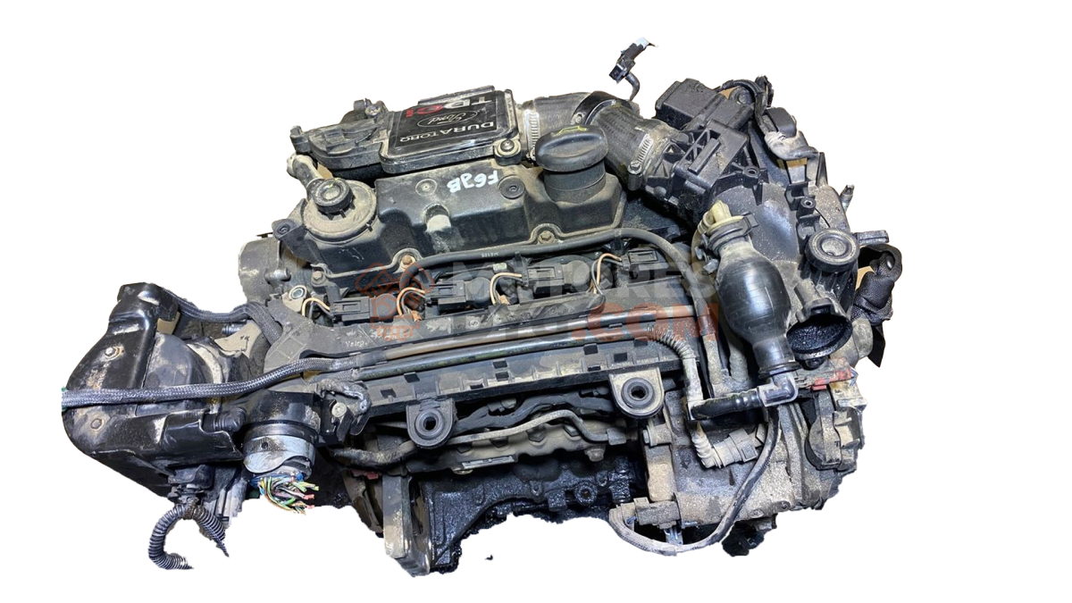 Motor f6jb Ford Fiesta VI 1.4 16V (80 cv)