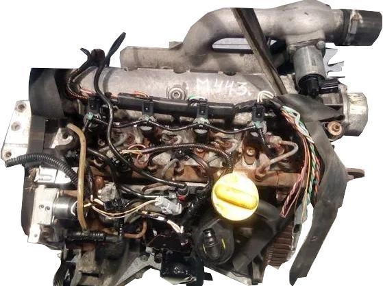 Motor F9Q Opel Signum (Versión 2005) 1.9 CDTI (150 cv) Automatico