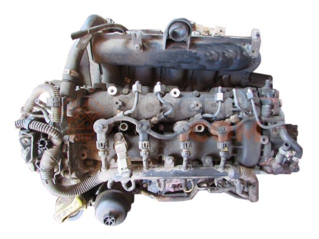 Motor F9QU762 Nissan Primastar Caja/Chasis 1.9 dCi (82 cv)