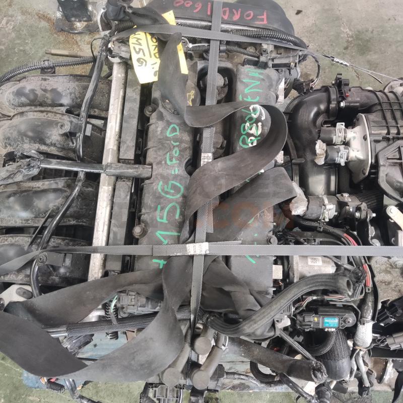 Motor Ford C-MAX 1.6 TDCi (109 cv)