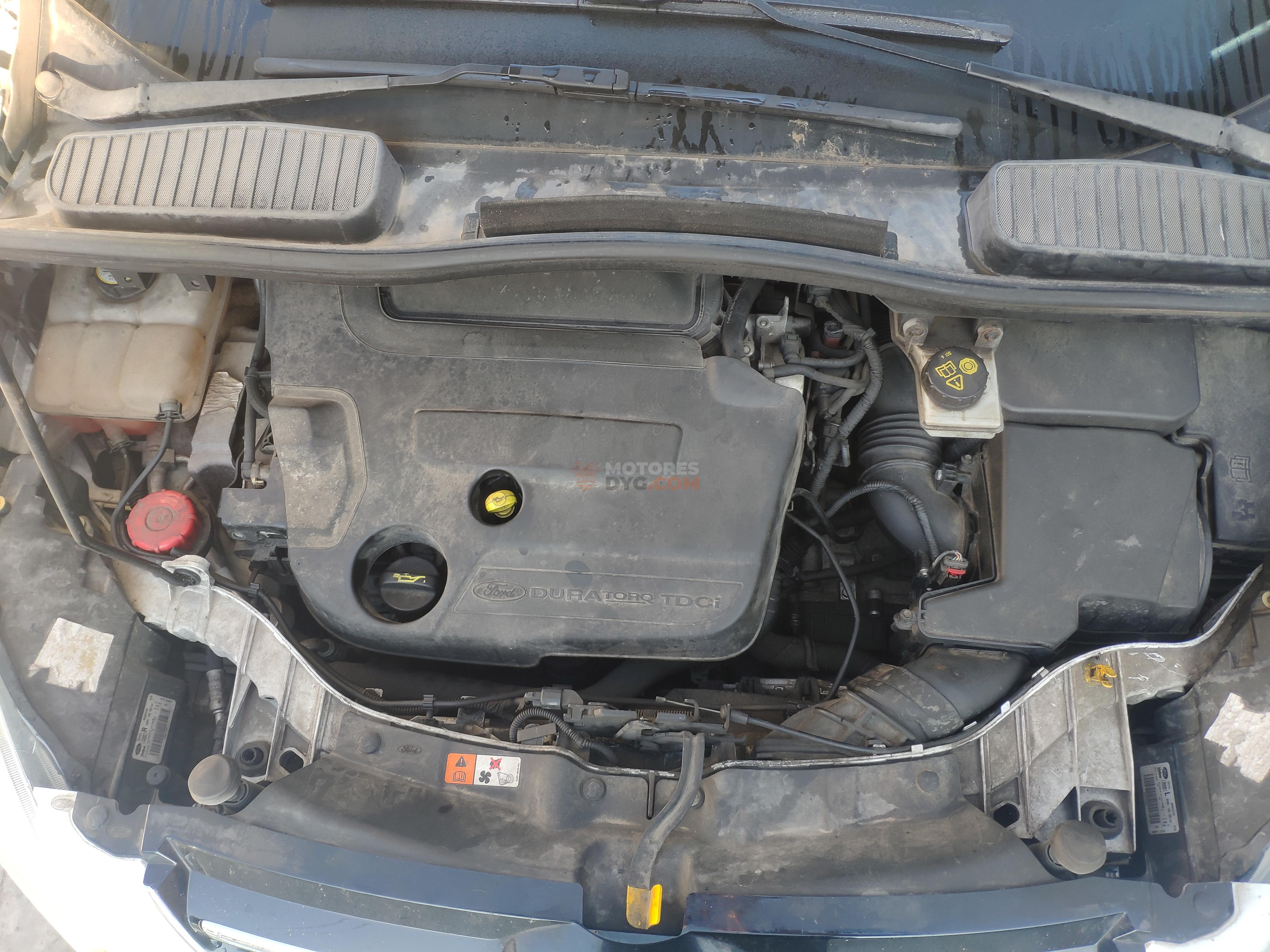 Motor DUFDB Ford C-MAX II 2.0 Duratorq TDCi (140 cv) DPF Automatico