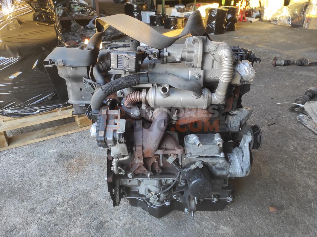 Motor KKDA Ford C-MAX (Versión 2007) 1.8 TDCi (115 cv)