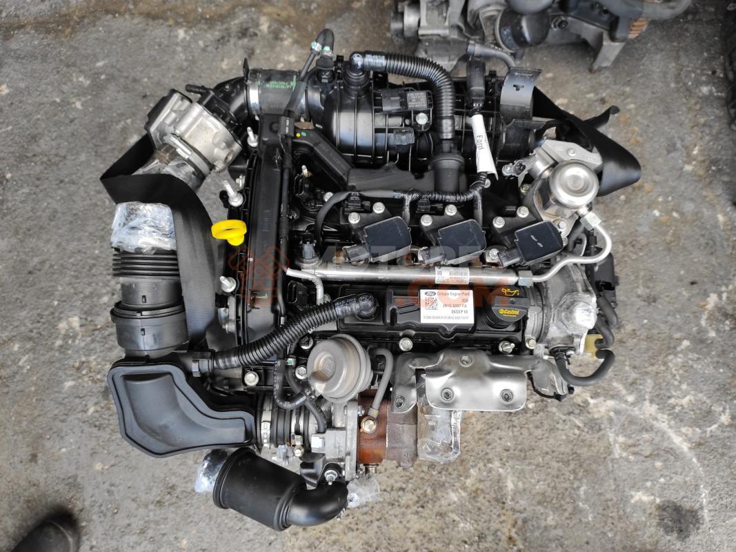 Motor SFJL Ford EcoSport II 1.0 EcoBoost (100cv)