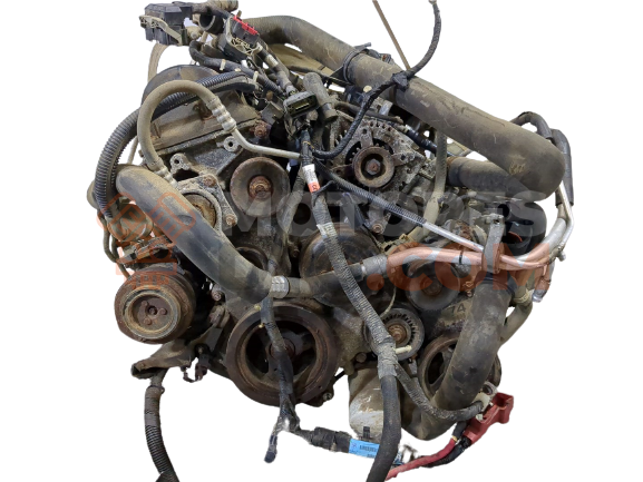 Motor б/н Ford F-150 4.6L V8
