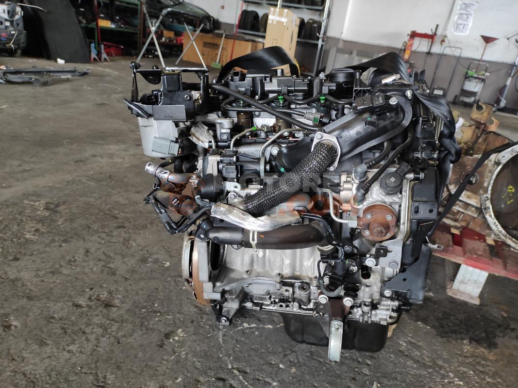 Motor TZJA  Ford Fiesta VII 1.6 TDCi (95cv)