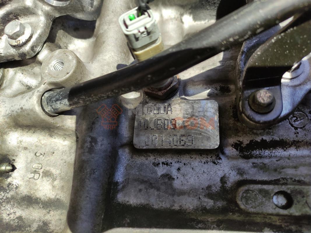 Motor G8DA Ford FOCUS C-MAX 1.6 TDCi  (109 CV)