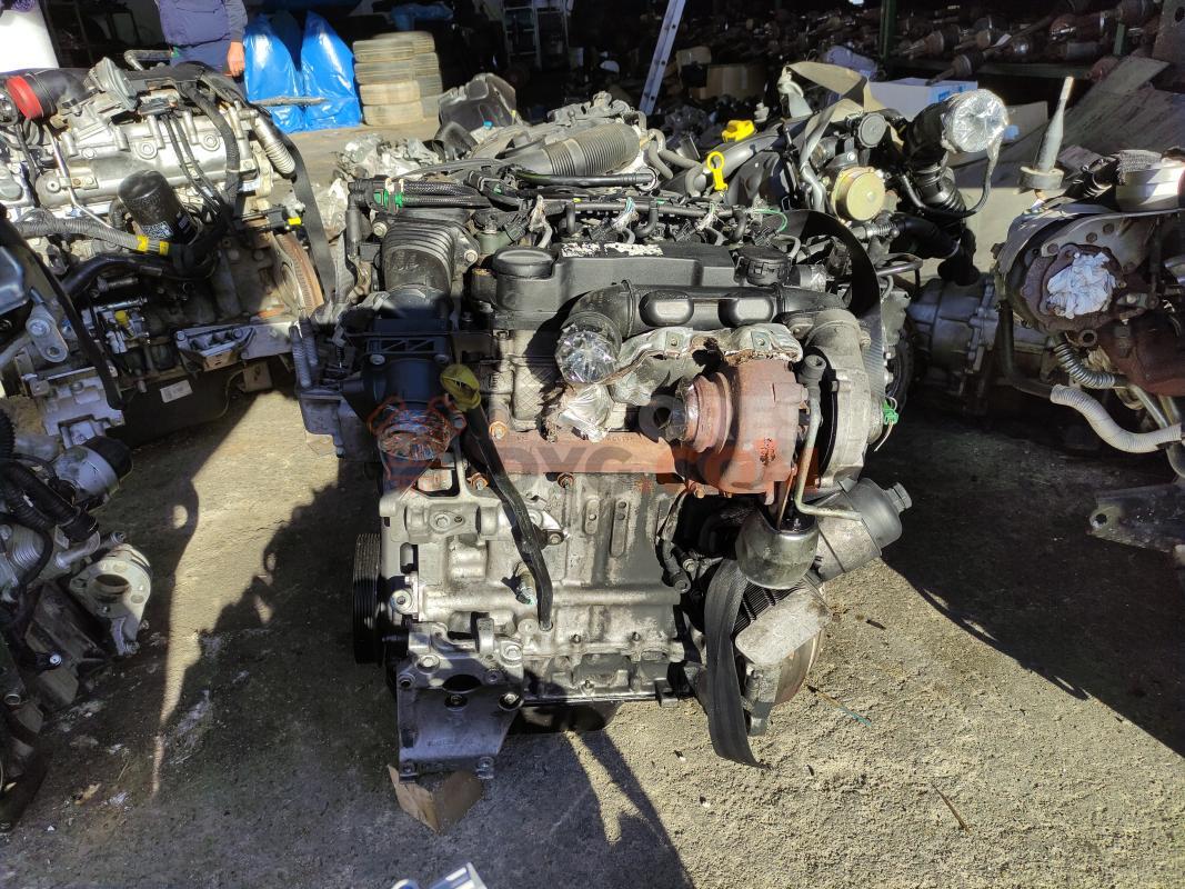 Motor G8DA Ford FOCUS C-MAX 1.6 TDCi  (109 CV)