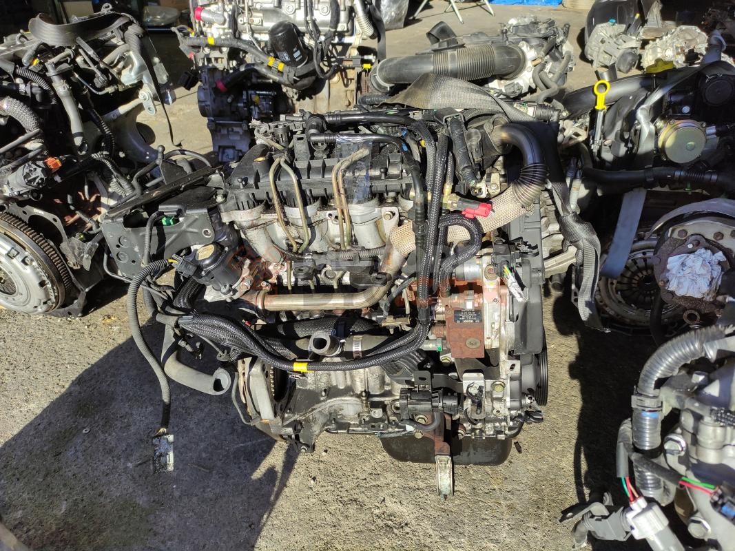 Motor G8DA Ford FOCUS C-MAX 1.6 TDCi  (109 CV)